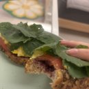 송인농장 이미지