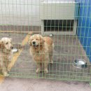 태광주유소 이미지