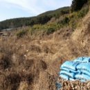 용소7길 이미지