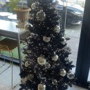 싸움의고수 철원와수점 | 2023년의 끝자락에서, 12월 일상🎄✨