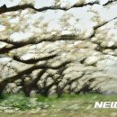 사진이야기 - 제주시 관덕로 36 | 사진이야기