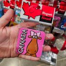 몬트리올 | 캐나다 몬트리올 출발 뉴욕 입국 후기 + 에어캐나다 수하물 파손 보상 가이드