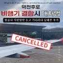 플라이어웨이잰 | 항공편 결항시 대처방법[젯스타 후기]