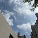 연세민트치과의원 이미지