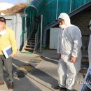 순진축산 이미지