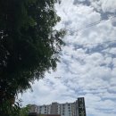 시루봉가든 이미지