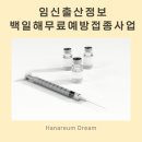 야사동339 | 산전 백일해 및 풍진 무료 예방 접종 사업