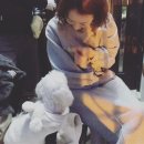 개똥아 미용하자 이미지
