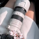 첨성대 | [경주여행] 핑크빛 벚꽃과 알록달록 튤립의 하모니! 4월 경주 첨성대 봄나들이 후기🌸🌷