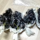 선진농원 - 천안시 서북구 새터길 57 | 선진농원