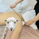 조은뷰티 | 화성 승모근 ,등관리 더 조은뷰티 시원개운관리 후기