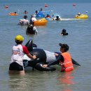 나로우주해수욕장 이미지