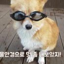 놀자 - 마포구 와우산로29길 19 | 놀자