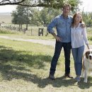 베일리 베일리 이미지