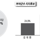 이용우 현 군수, 전지역 고른 선두 [여론조사] 이미지