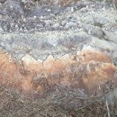 해남동물나라 이미지