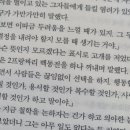 카페드센