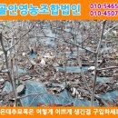 골안농장 이미지