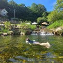 내원계곡라온펜션 | 부산 근교 계곡 펜션 울산 가성비 바베큐 숙소 라온펜션 내돈내산