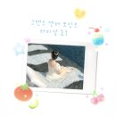 터미널센터 | 방콕 그랜드 센터 포인트 터미널21 숙박 후기- 위치,수영장,쇼핑몰 연결