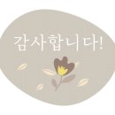 경희대 다산 태권도 이미지