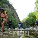 와바다다 이미지