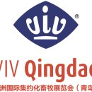 ◆ 칭다오 축산 박람회 VIV CHINA 참가 -&gt; 칭다오 공항에서 시내 칭다오 공항우버 같은 칭다오 공항픽업...