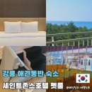 마이유어펫살롱 | 강릉 애견동반 숙소 세인트존스호텔 펫룸 1박 2일 후기