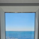 문탠로드 | 만족스러웠던 부산 문탠로드 해변 열차 가족 여행 후기