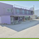 새봄맞이 음악회 | 동해 무료 공연, 바다와 음악이 어우러진 로얄비치의 감성 여름