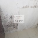 이니스바이오 이미지