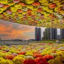 제32회 대한민국사진예술대상전, 11월 21일 인천문화예술회관에서 개막, 제12회 인천관광 인천168보물섬 사진전 동시 개최 이미지