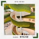 영어마을도서관 | 국내 최대! 수원 광교 경기도서관 개관 심층 후기 (위치/주차/층별 완벽 분석)