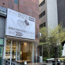 [경기/수원] 수원광교 일본 라멘 맛집! 혼밥가능 “면단지” 솔직후기!