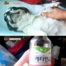 공범농장 이미지