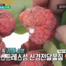 화순꾸지뽕 네이버블로그