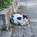 굴렁쇠 당구장 이미지