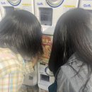 뽑고뽑기인형방 이미지