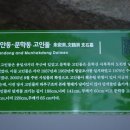 주안동고인돌 이미지