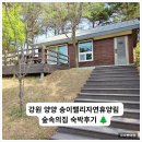 광천읍사무소앞 - 우 | 강원 양양 송이밸리자연휴양림 숲속의집 산양→반달곰 4인실 2박 후기 | 14개월 아기와 함께