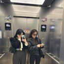 라바트리(LAVATREE) 이미지