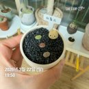 환영농장 | 김포 아프리카 식물 오프라인 매장 추천, 아프리카 농장