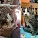 (주)뭉치 이미지