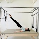 시온 PT&PILATES | 기구필라테스 : 허리 재활 필라테스 1개월차 내돈내산 후기 [ +헬스]