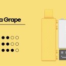 진영2호 이미지