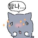 돈날개숯불갈비 이미지
