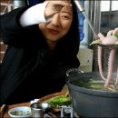 순천만갯벌낙지