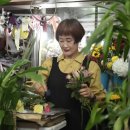 샤론꽃방 네이버블로그