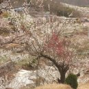 계월농장 이미지