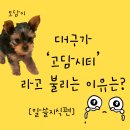 고담커뮤니티